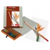 Набор цветных карандашей Bruynzeel DESIGN, 12 цветов, в подарочной упаковке