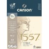 Альбом для графики CANSON 1557 А4 21*29.7см, 120гр. 50л., бумага малое зерно, склейка
