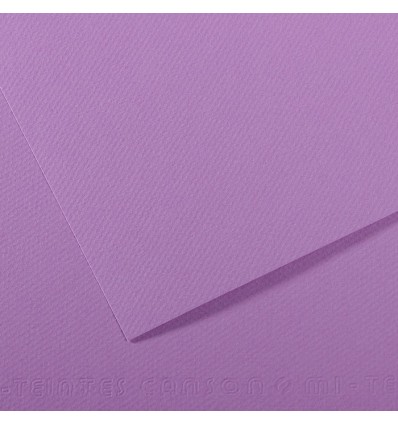 Бумага для пастели CANSON Mi-Teintes А4 21*29.7см 160гр., Цвет №113 Черничный, 50л/упак,