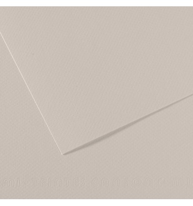 Бумага для пастели CANSON Mi-Teintes А4 21*29.7см 160гр., Цвет №120 Серый жемчужный, 50л/упак,