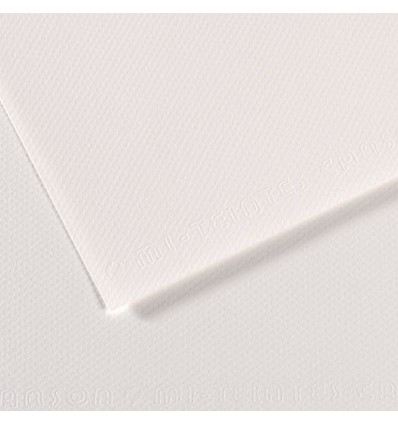 Бумага для пастели CANSON Mi-Teintes А4 21*29.7см 160гр., Цвет №335 Белый, 50л/упак,