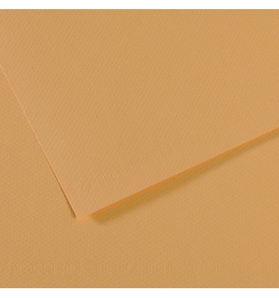Бумага для пастели CANSON Mi-Teintes А4 21*29.7см 160гр., Цвет №340 Конопляный, 50л/упак,