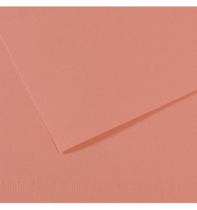 Бумага для пастели CANSON Mi-Teintes А4 21*29.7см 160гр., Цвет №352 Темно-розовый, 50л/упак,