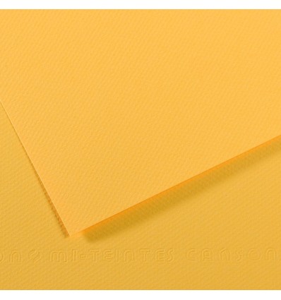 Бумага для пастели CANSON Mi-Teintes А4 21*29.7см 160гр., Цвет №400 Желтый канареечный, 50л/упак,