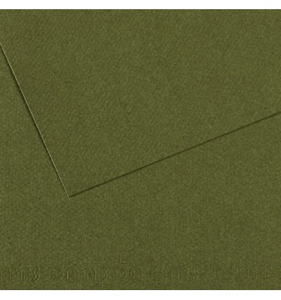 Бумага для пастели CANSON Mi-Teintes А4 21*29.7см 160гр., Цвет №448 Зеленый плющ, 50л/упак,