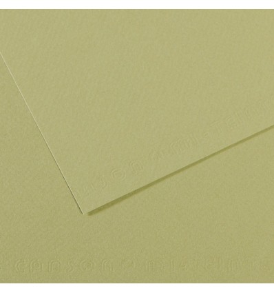 Бумага для пастели CANSON Mi-Teintes А4 21*29.7см 160гр., Цвет №480 светло-зеленый, 50л/упак,