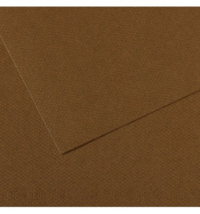 Бумага для пастели CANSON Mi-Teintes А4 21*29.7см 160гр., Цвет №501 каштановый, 50л/упак,