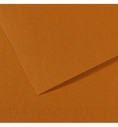 Бумага для пастели CANSON Mi-Teintes А4 21*29.7см 160гр., Цвет №502 светло-коричневый, 50л/упак,