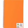 Скетчбук CANSON Notes А4 21*29.7см, 120гр. 50л., пластиковая обложка оранжевая, спираль