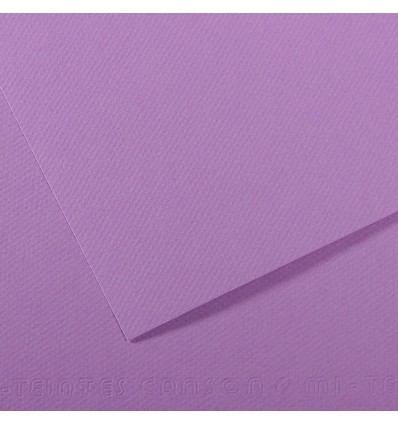 Бумага для пастели CANSON Mi-Teintes 50*65см 160гр., Цвет №113 Черничный, 25л/упак,
