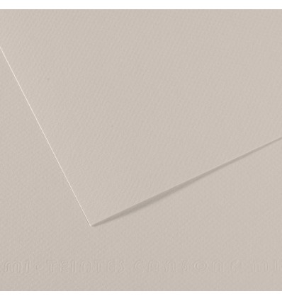 Бумага для пастели CANSON Mi-Teintes 50*65см 160гр., Цвет №120 Серый жемчужный, 25л/упак,