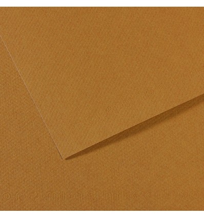 Бумага для пастели CANSON Mi-Teintes 50*65см 160гр., Цвет №336 Табачный, 25л/упак,