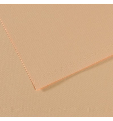 Бумага для пастели CANSON Mi-Teintes 50*65см 160гр., Цвет №350 Золотисто-розовый, 25л/упак,