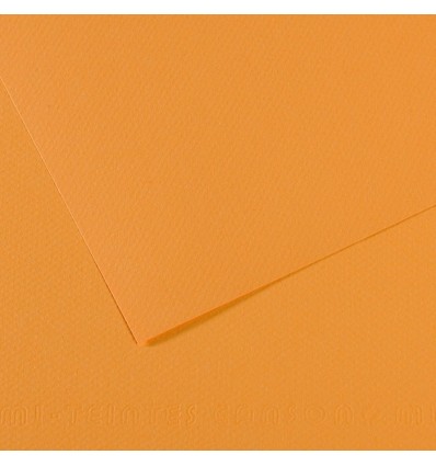 Бумага для пастели CANSON Mi-Teintes 50*65см 160гр., Цвет №374 Пеньковый, 25л/упак,