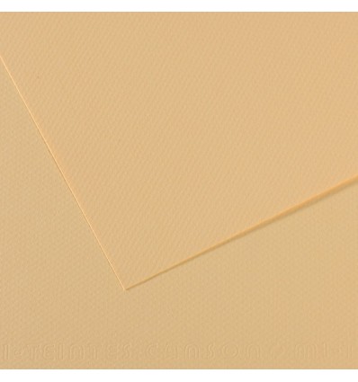 Бумага для пастели CANSON Mi-Teintes 50*65см 160гр., Цвет №407 Кремовый, 25л/упак,