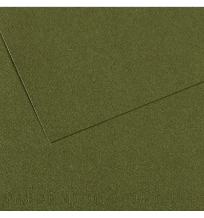 Бумага для пастели CANSON Mi-Teintes 50*65см 160гр., Цвет №448 Зеленый плющ, 25л/упак,