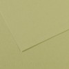 Бумага для пастели CANSON Mi-Teintes 50*65см 160гр., Цвет №480 светло-зеленый, 25л/упак,