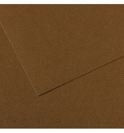 Бумага для пастели CANSON Mi-Teintes 50*65см 160гр., Цвет №501 каштановый, 25л/упак,