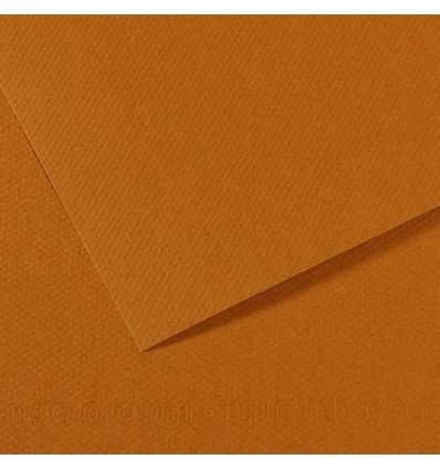 Бумага для пастели CANSON Mi-Teintes 50*65см 160гр., Цвет №502 светло-коричневый, 25л/упак,