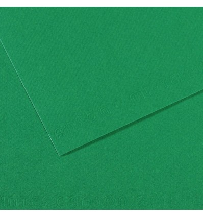 Бумага для пастели CANSON Mi-Teintes 50*65см 160гр., Цвет №575 темно-зеленый, 25л/упак,