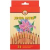 Набор цветных карандашей Koh-I-Noor Jumbo Natur 2174, утолщенный корпус D-10мм, 24 цвета