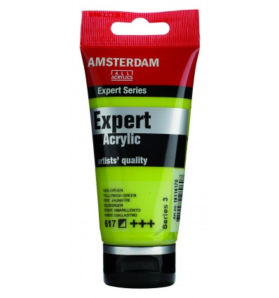 Акриловая краска Amsterdam Expert ROYAL TALENS, туба 75мл, Цвет: № 617 Желтовато-зеленый