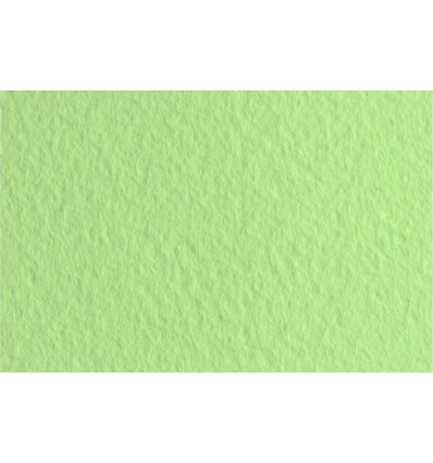 Бумага для пастели FABRIANO Tiziano А4 21*29.7см 160гр., Цвет №11 Зеленый светлый, 50л/упак