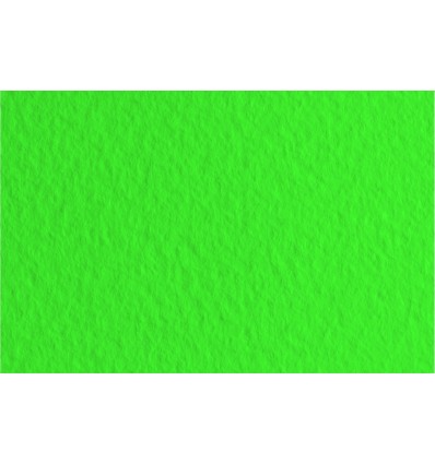 Бумага для пастели FABRIANO Tiziano А4 21*29.7см 160гр., Цвет №12 Зеленый луг, 50л/упак