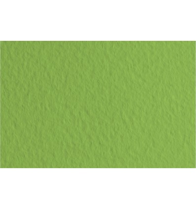 Бумага для пастели FABRIANO Tiziano А4 21*29.7см 160гр., Цвет №14 Зеленый мох, 50л/упак