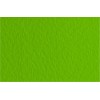 Бумага для пастели FABRIANO Tiziano А4 21*29.7см 160гр., Цвет №43 Зеленый фисташковый 50л/упак