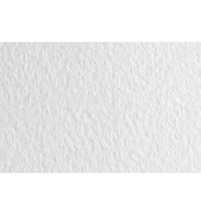 Бумага для пастели FABRIANO Tiziano 50x65см 160гр., Цвет №01 Белый, 10л/упак,