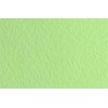 Бумага для пастели FABRIANO Tiziano 50x65см 160гр., Цвет №11 Зеленый светлый (verduzzo), 10л/упак