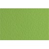 Бумага для пастели FABRIANO Tiziano 50x65см 160гр., Цвет №14 Зеленый мох (muschio), 10л/упак