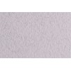 Бумага для пастели FABRIANO Tiziano 50x65см 160гр., Цвет №27 Серый стальной (lama), 10л/упак