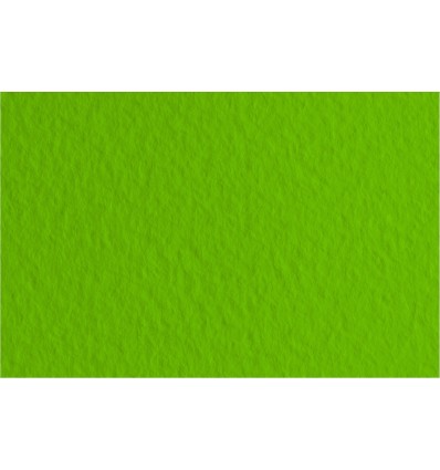 Бумага для пастели FABRIANO Tiziano 50x65см 160гр., Цвет №43 Зеленый фисташковый (pistacchio), 10л/упак