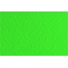 Бумага для пастели FABRIANO Tiziano 70x100см 160гр., Цвет №12 Зеленый луг (prato), 10л/упак,