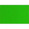 Бумага для пастели FABRIANO Tiziano 70x100см 160гр., Цвет №37 Зеленое сукно (biliardo), 10л/упак,