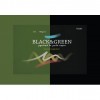 Альбом для рисования пастелью Kroyter BLACK & GREEN 7682, А3 10л., 760 гр, бумага Черная и Зеленая, Склейка