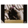 Альбом для пастели Rembrandt ROYAL TALENS А3 29х42см, 160гр. 30л., 6 цветов - Темные тона, Склейка
