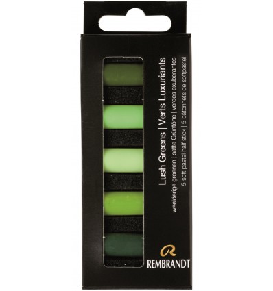 Набор сухой пастели REMBRANDT ROYAL TALENS - 5 насыщенных зеленых цветов, 1/2 стандартного мелка, картон