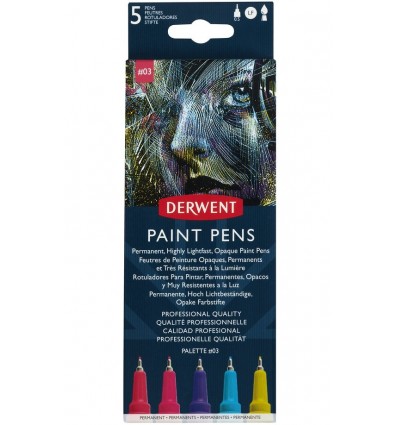 Набор капилярных ручек DERWENT Paint Pen №3, 0.5мм, 5 цветов
