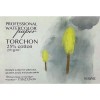 Альбом для акварели KROYTER WATERCOLOR Torchon 00175, 17х25 СМ, 270гр., крупное зерно с хлопком 25%, 10 листов, склейка