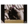 Альбом для пастели Rembrandt ROYAL TALENS А4 21х29.7см, 160гр. 30л., 6 цветов - Темные тона, Склейка