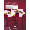 Альбом для пастели Clairefontaine Pastelmat, 300*400мм, 360гр., 12л., бархат белый, склейка