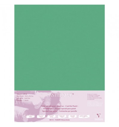 Бумага для пастели Clairefontaine Pastelmat, 500*700мм, 360гр., 5л., Темно-зеленый