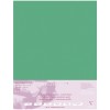 Бумага для пастели Clairefontaine Pastelmat, 500*700мм, 360гр., 5л., Темно-зеленый