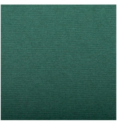 Бумага для пастели Clairefontaine Ingres, 500*650мм, 130гр., 25л., верже, хлопок, Темно-зеленый