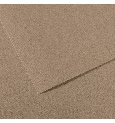 Бумага Canson Mi-Teintes, для пастели, 160 гр/м2, 75 x 110 см, № 431, Стальной серый, 1 лист
