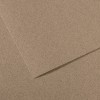 Бумага Canson Mi-Teintes, для пастели, 160 гр/м2, 75 x 110 см, № 431, Стальной серый, 1 лист