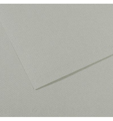 Бумага Canson Mi-Teintes, для пастели, 160 гр/м2, 75 x 110 см, Цвет №354 Серое небо, 1 лист
